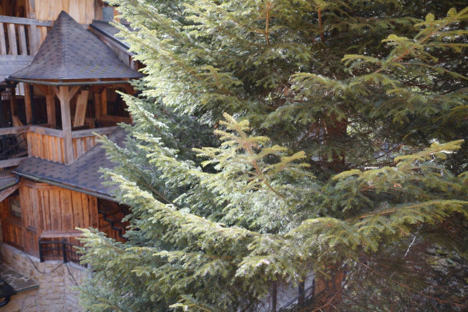 Садиба Nad Prutom Jaremče Exteriér fotografie