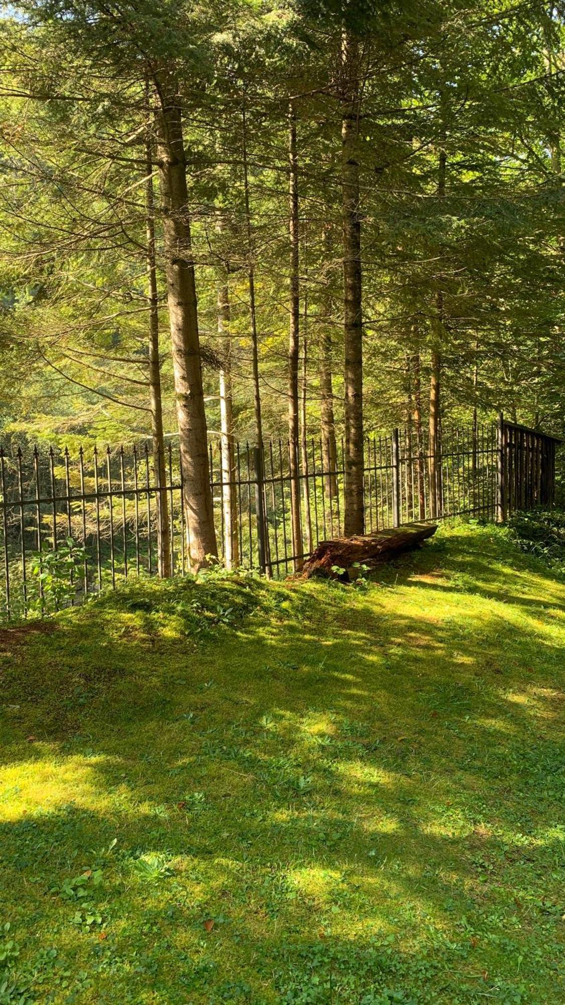 Садиба Nad Prutom Jaremče Exteriér fotografie