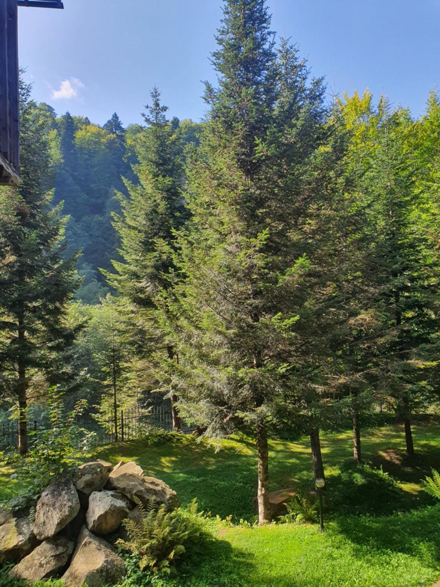 Садиба Nad Prutom Jaremče Exteriér fotografie